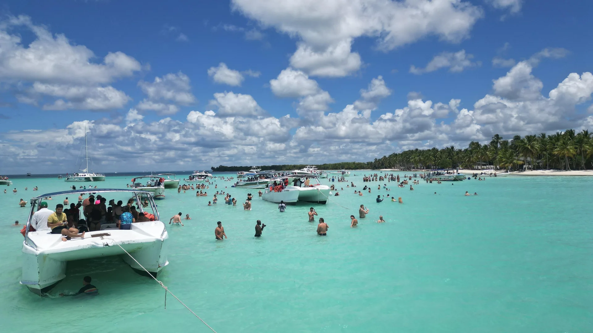Guests standing waist-deep in the shallow natural pool beside a catamaran, from the Saona catamaran day listing