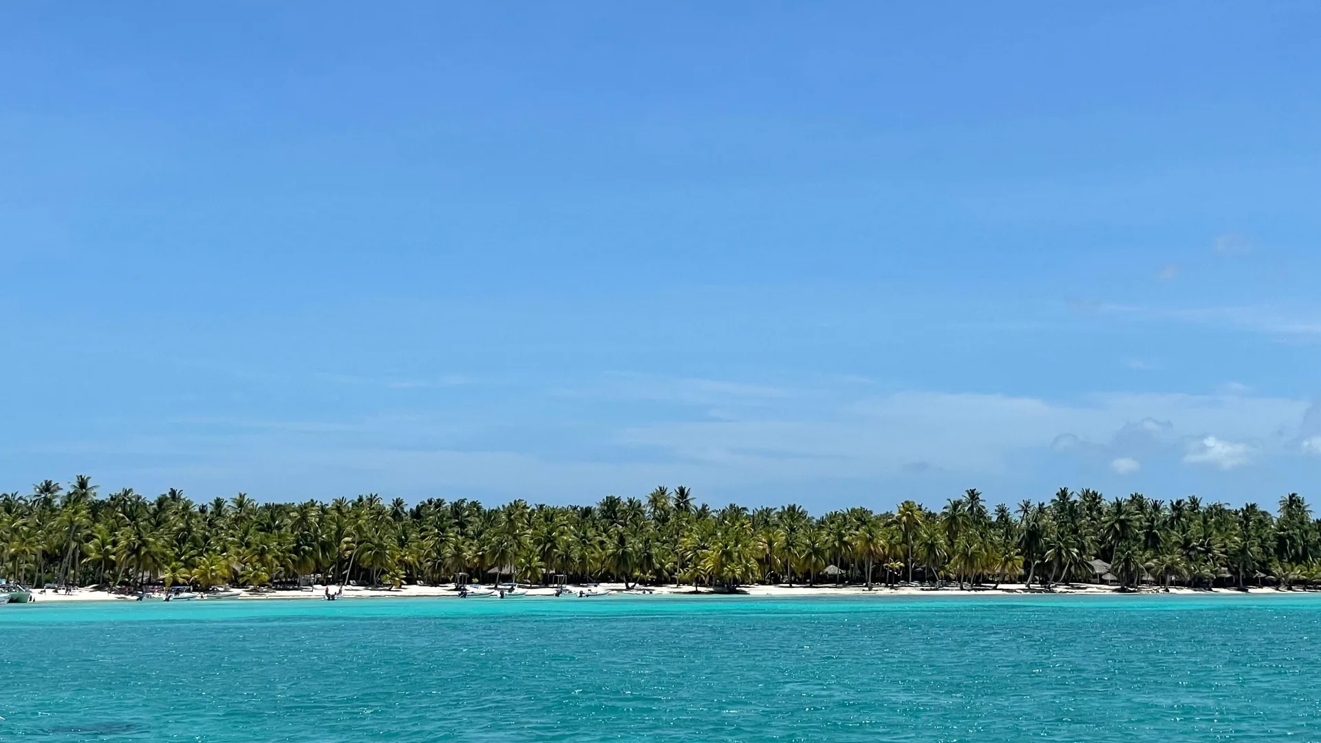 The palm-lined coast of Saona Island seen from the sea, from the Santo Domingo day trip listing
