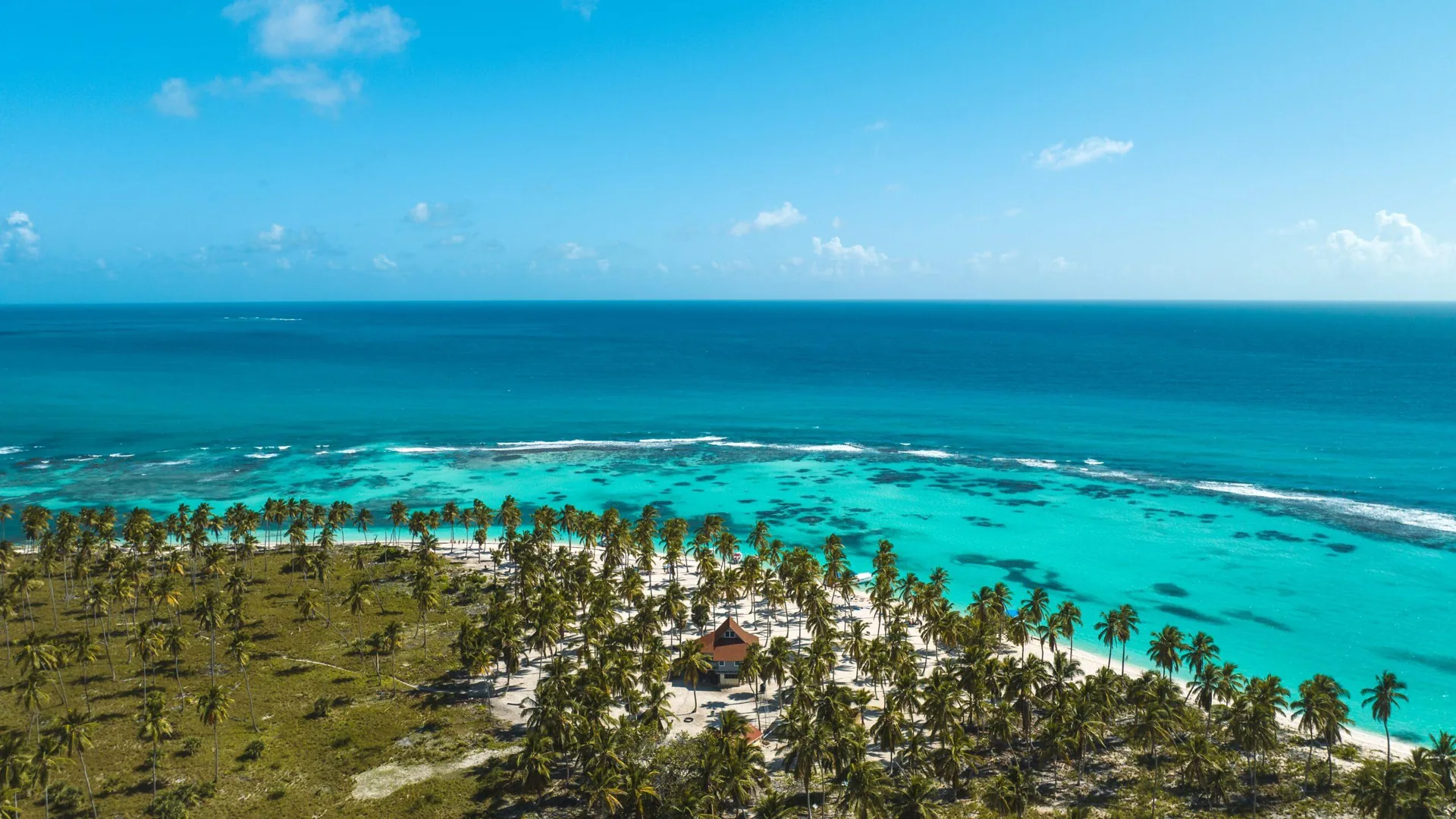 Aerial view of Saona Island's palm forest and reef-fringed turquoise water, from the private speedboat tour listing